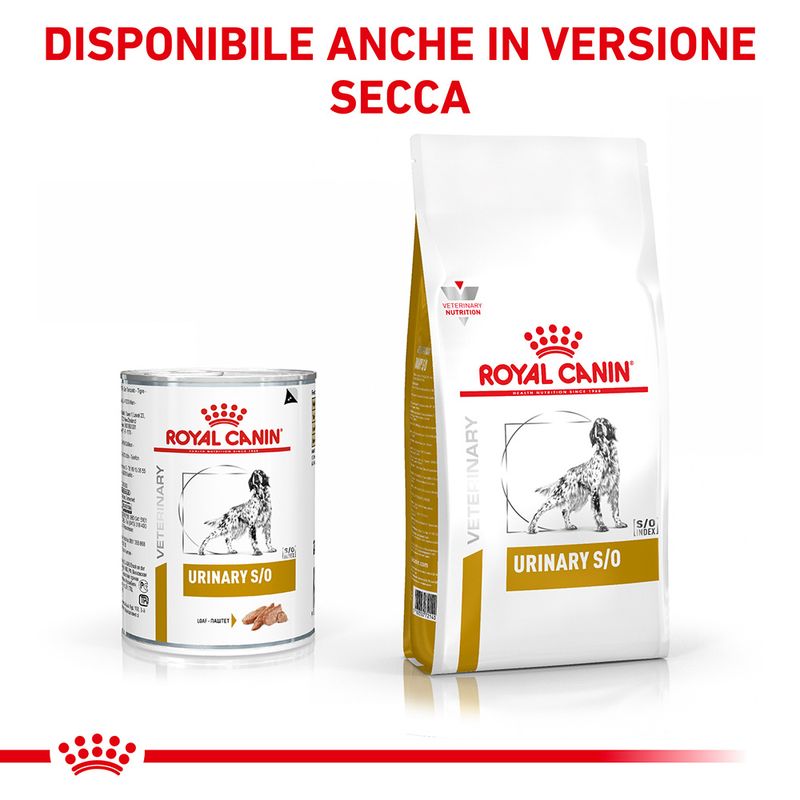 Royal Canin Urinary S/O 410g - Cibo Umido per Cani Royal Canin Urinary S/O 410g - Cibo Umido per Cani